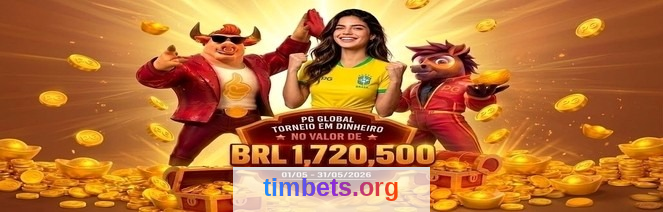 timbet - Suporte: Guia Completo 4 Imagem ilustrativa
